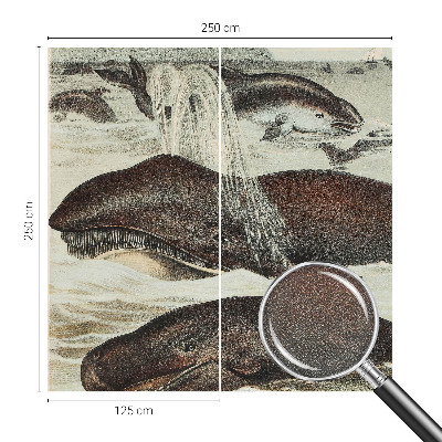 Self-adhesive wall mural Sea creatures