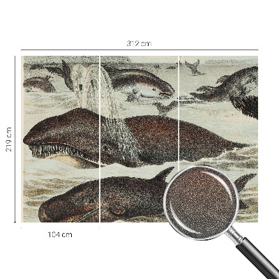 Self-adhesive wall mural featuring sea creatures
