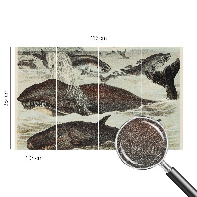 Self-adhesive wall mural Sea creatures