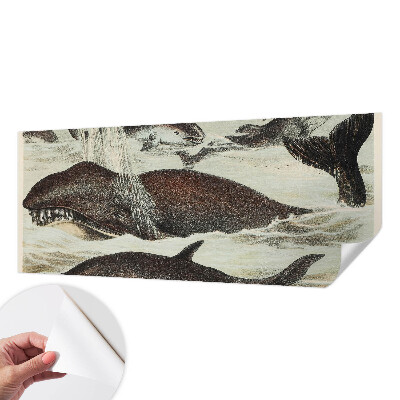 Self-adhesive wall mural Sea creatures