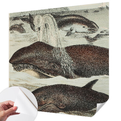 Self-adhesive wall mural Sea creatures