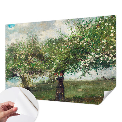 3D photo wallpaper mural Spring scene