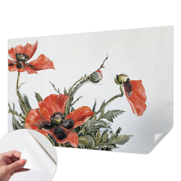Peel and stick wall mural with red poppies