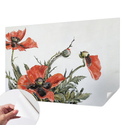 Peel and stick wall mural with red poppies