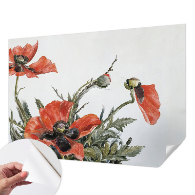 Peel and stick wall mural with red poppies