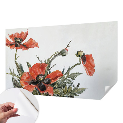 Peel and stick wall mural Red poppies