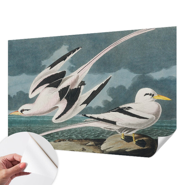 Removable wall mural wallpaper Birds by the sea