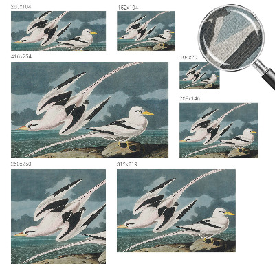 Removable wall mural wallpaper Birds by the sea