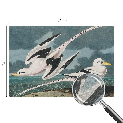 Removable wall mural wallpaper with a birds-by-the-sea motif