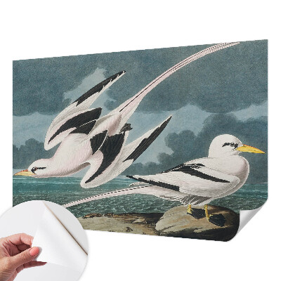 Removable wall mural wallpaper Birds by the sea