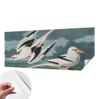 Removable wall mural wallpaper Birds by the sea