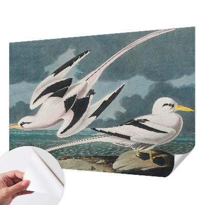 Removable wall mural wallpaper with a birds-by-the-sea motif