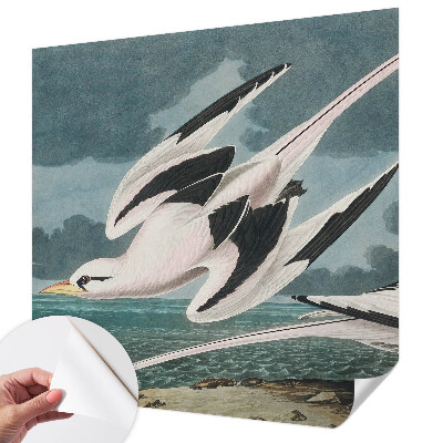 Removable wall mural wallpaper Birds by the sea