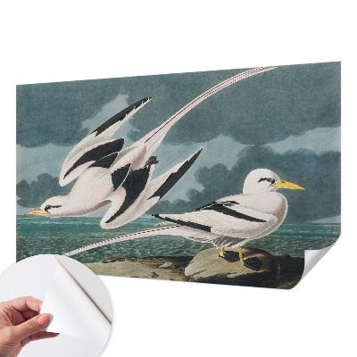 Removable wall mural wallpaper with a birds-by-the-sea motif
