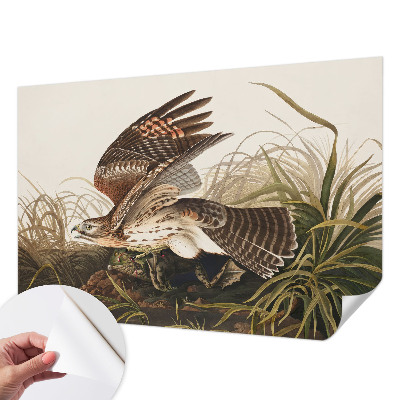Peel and stick wall mural for living room Winged Beauty
