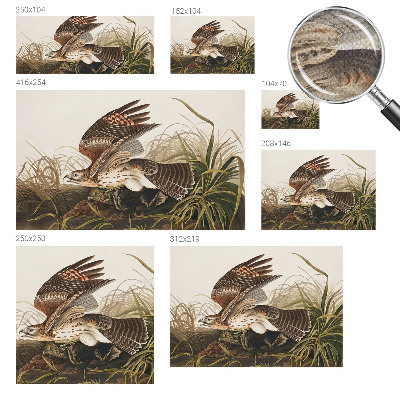 Peel and stick wall mural for living room Winged Beauty
