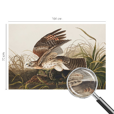 Peel and stick wall mural for living room featuring the Winged Beauty design