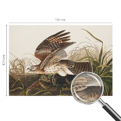 Peel and stick wall mural for living room Winged Beauty
