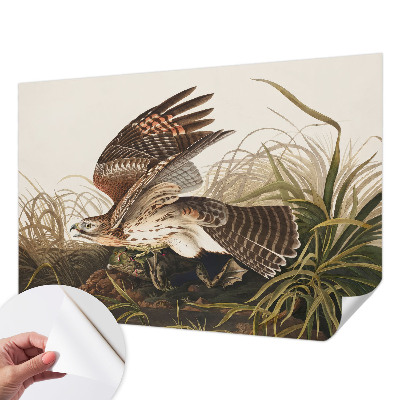 Peel and stick wall mural for living room featuring the Winged Beauty design