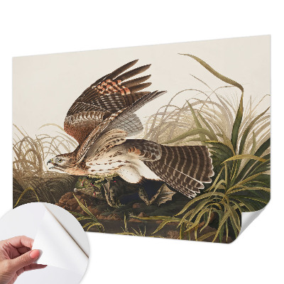 Peel and stick wall mural for living room featuring the Winged Beauty design
