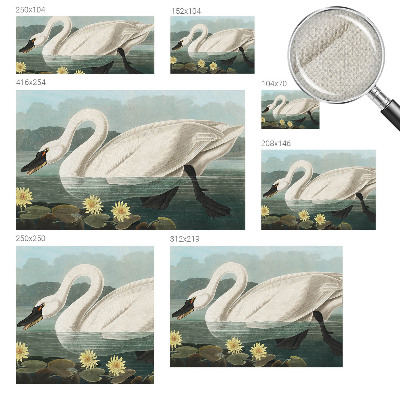 Peel and stick wall mural for kids' room with a swan and water lilies motif