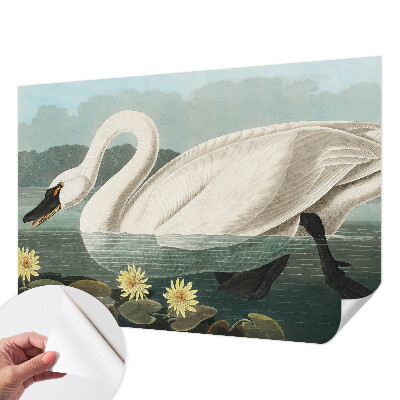 Peel and stick wall mural for kids' room with a swan and water lilies motif