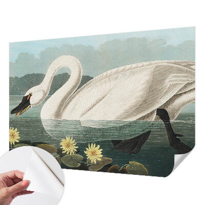 Peel and stick wall mural for kids' room with a swan and water lilies motif