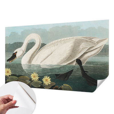 Peel and stick wall mural for kids' room with a swan and water lilies motif