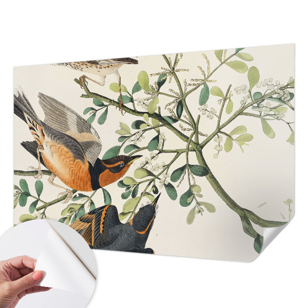 3D wall mural with colorful birds