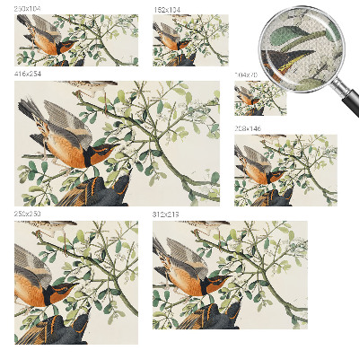 3D wall mural with colorful birds