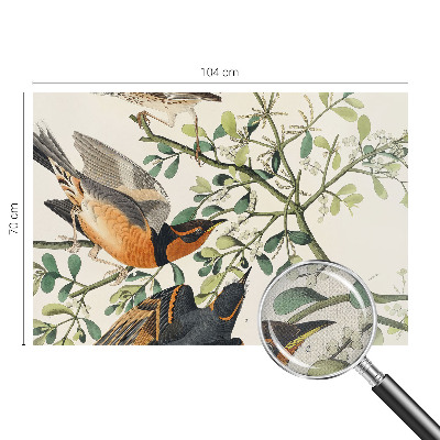 3D wall mural with colorful birds