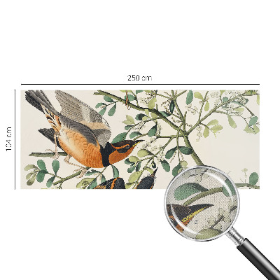 3D wall mural with colorful birds