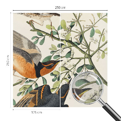 3D wall mural with colorful birds