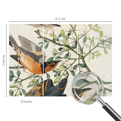 3D wall mural Colorful birds