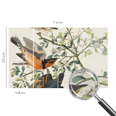 3D wall mural with colorful birds
