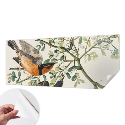 3D wall mural with colorful birds