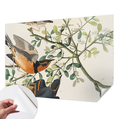 3D wall mural with colorful birds
