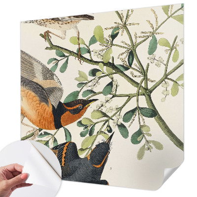 3D wall mural with colorful birds