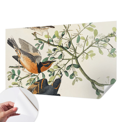 3D wall mural with colorful birds