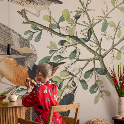 3D wall mural with colorful birds