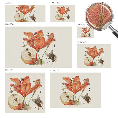 Self-adhesive wall mural Botanical illustration
