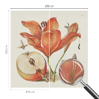 Self-adhesive wall mural Botanical illustration