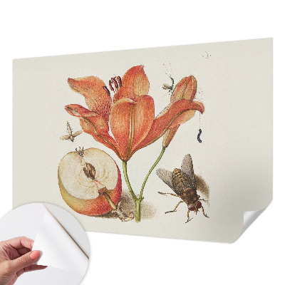 Self-adhesive wall mural Botanical illustration
