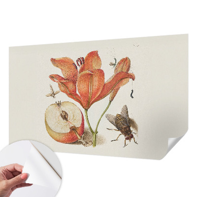 Self-adhesive wall mural Botanical illustration