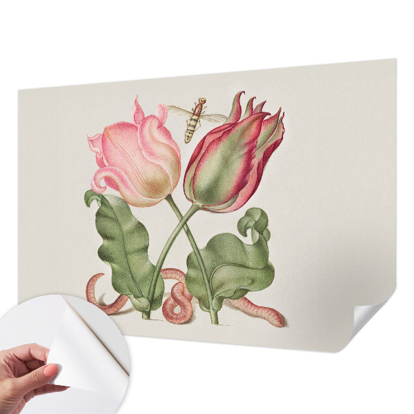 Peel and stick wall mural Tulip beauty