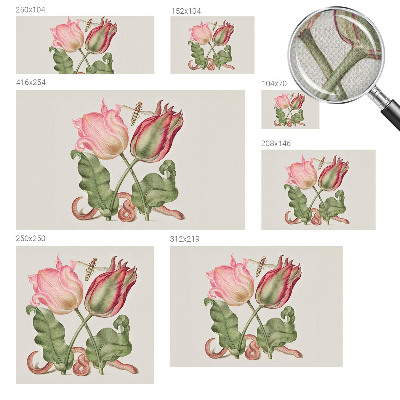 Peel and stick wall mural Tulip beauty