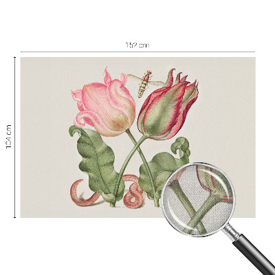 Peel and stick wall mural featuring a tulip beauty design