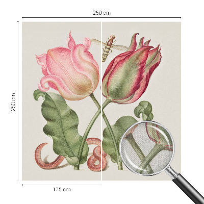Peel and stick wall mural Tulip beauty