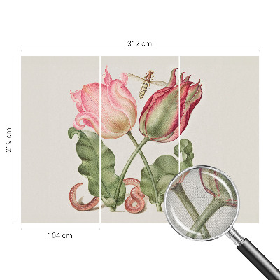 Peel and stick wall mural Tulip beauty