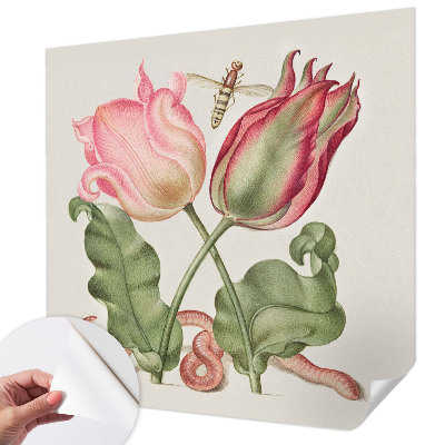 Peel and stick wall mural featuring a tulip beauty design